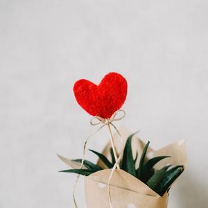 国产真实野战在线视频
