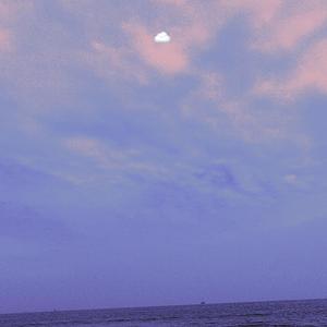 国产真实野战在线视频
